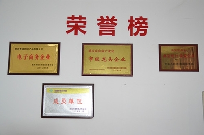 重慶香滿園網(wǎng)上平臺(tái)新版上市:讓農(nóng)產(chǎn)品觸電采購(gòu)