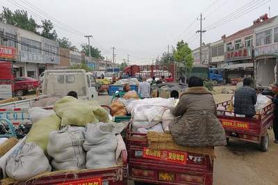 薇婭偷逃稅被罰13.41億,農民網上賣菜要繳稅嗎?看看規(guī)定咋說