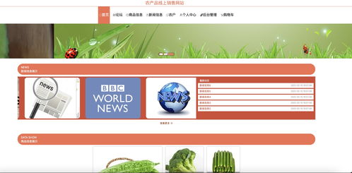 java畢業(yè)設(shè)計 基于ssm vue農(nóng)產(chǎn)品線上銷售網(wǎng)站