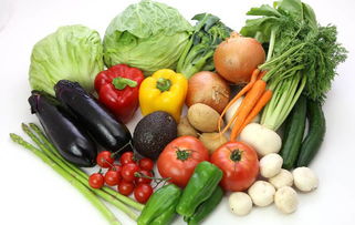 日本頻道--人民網(wǎng)