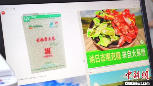 環(huán)游青年返鄉(xiāng)創(chuàng)業(yè) 電商興農(nóng)開(kāi)拓海內(nèi)外家禽市場(chǎng)