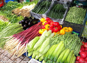 青島氣溫升高菜價持續回落，家禽供應平穩價格企穩